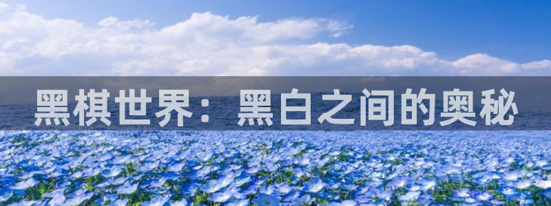 长运娱乐官网登录入口：黑棋世界：黑白之间的奥秘
