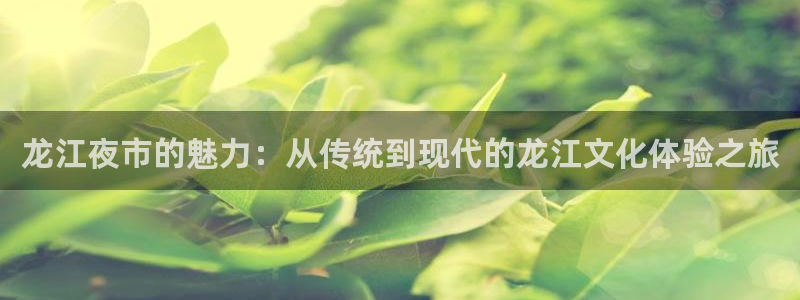 长运娱乐平台测速登录：龙江夜市的魅力：从传统到现代的龙江文化体验之旅