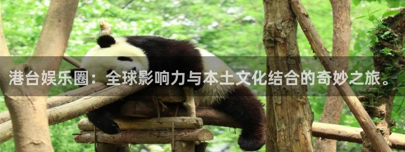 长运娱乐主管：港台娱乐圈：全球影响力与本土文化结合的奇妙之旅。